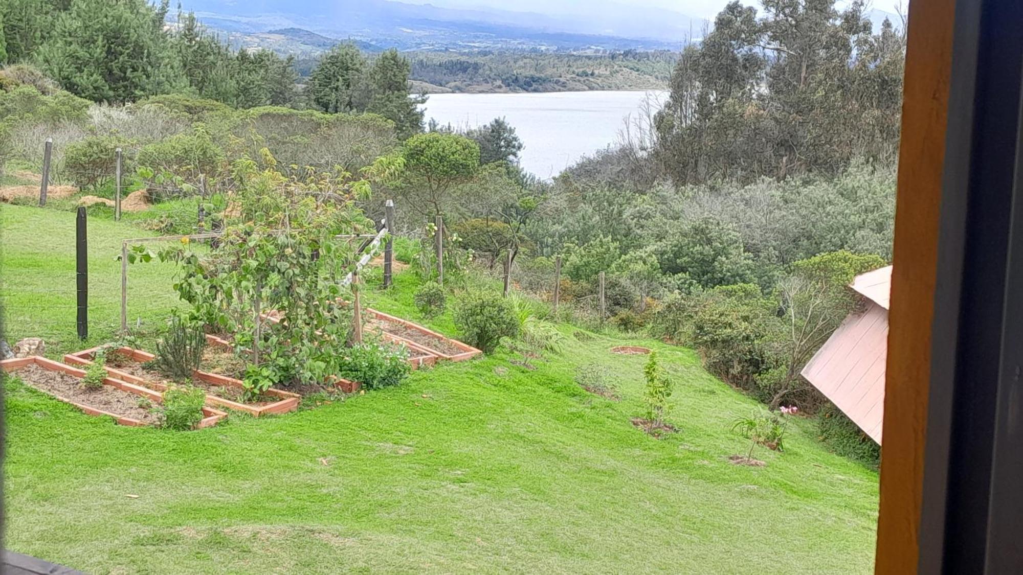 Hostel Quinta Llanitos Campestre *